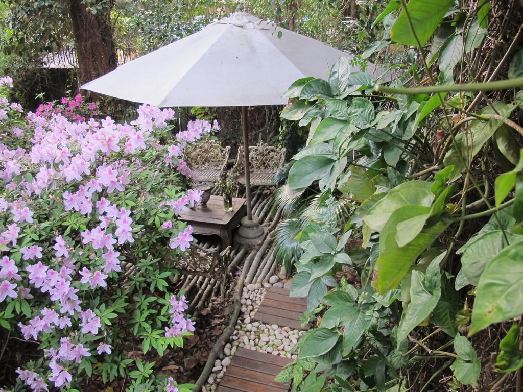 奥利沃斯La Casona De Grace住宿加早餐旅馆 外观 照片